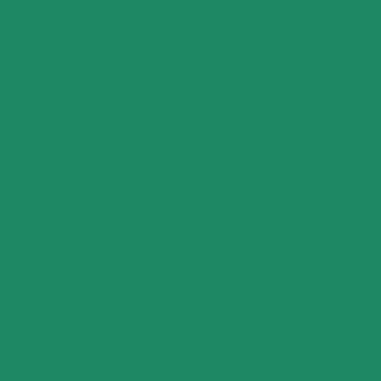 Siser EASYWEED Warmteoverdracht Vinyl 15" - Per Meter