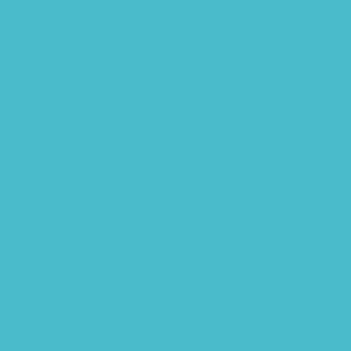 Siser EASYWEED ECOSTRETCH Heat Transfer Vinyl - 12" x 1 Foot - HeatPressNation