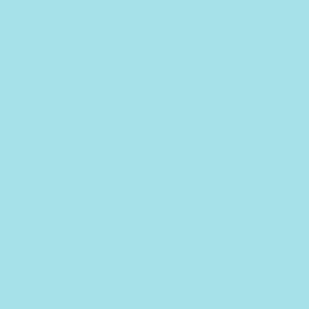 Siser EASYWEED STRETCH Heat Transfer Vinyl - 15" x 1 Foot