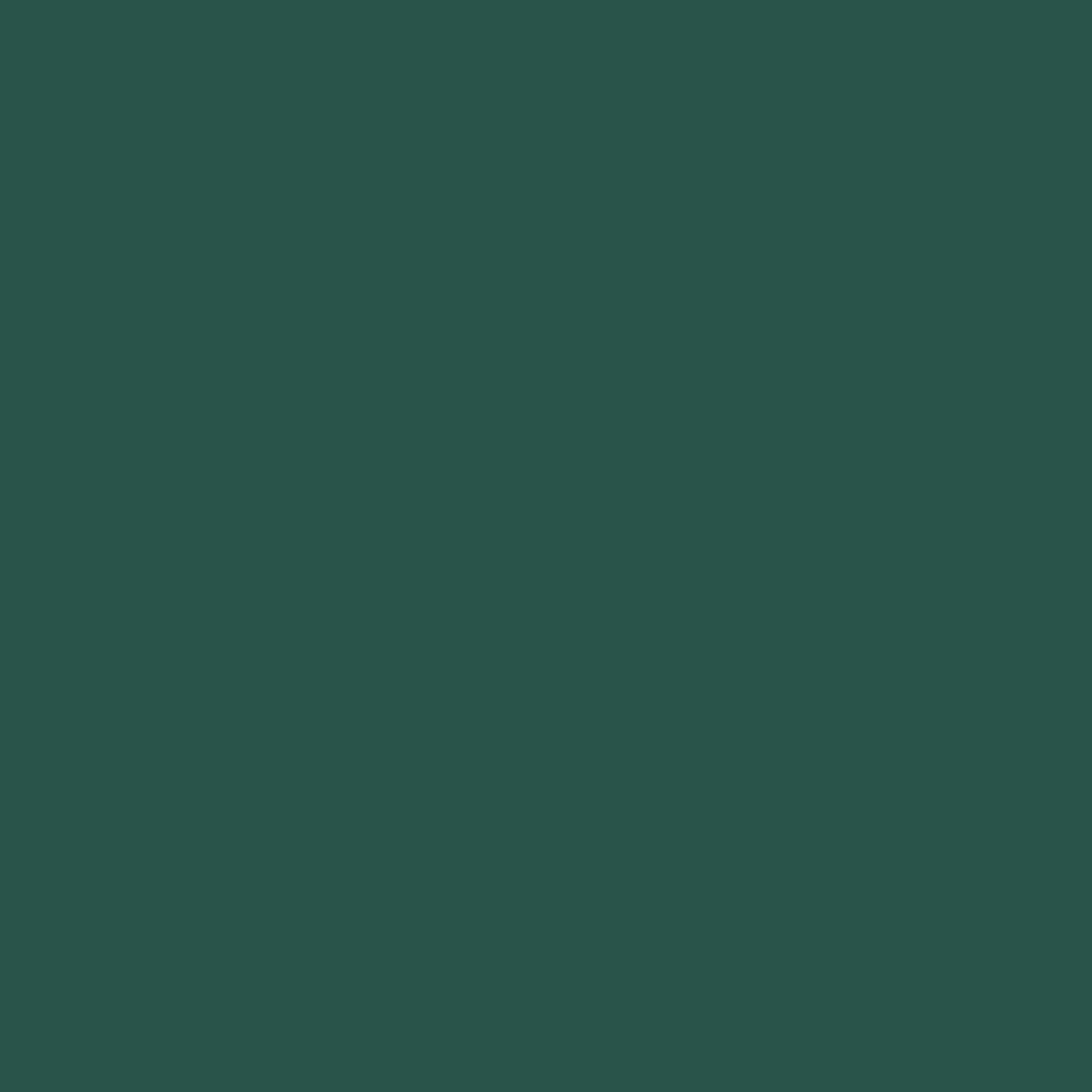 Siser EASYWEED STRETCH Heat Transfer Vinyl - 15" x 5 Yards