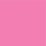 Siser EasyPSV Permanente Zelfklevende Sticker Vinyl - 12" x 5 Yards 