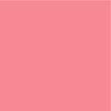 Siser EasyPSV Permanente Zelfklevende Sticker Vinyl - 12" x 5 Yards 