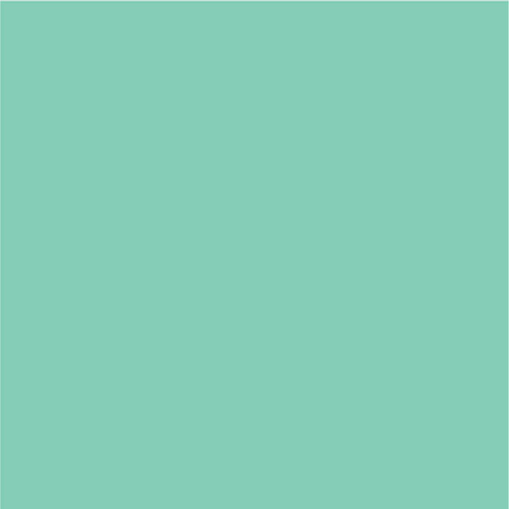 Siser EasyPSV Permanente Zelfklevende Sticker Vinyl - 12" x 5 Yards 
