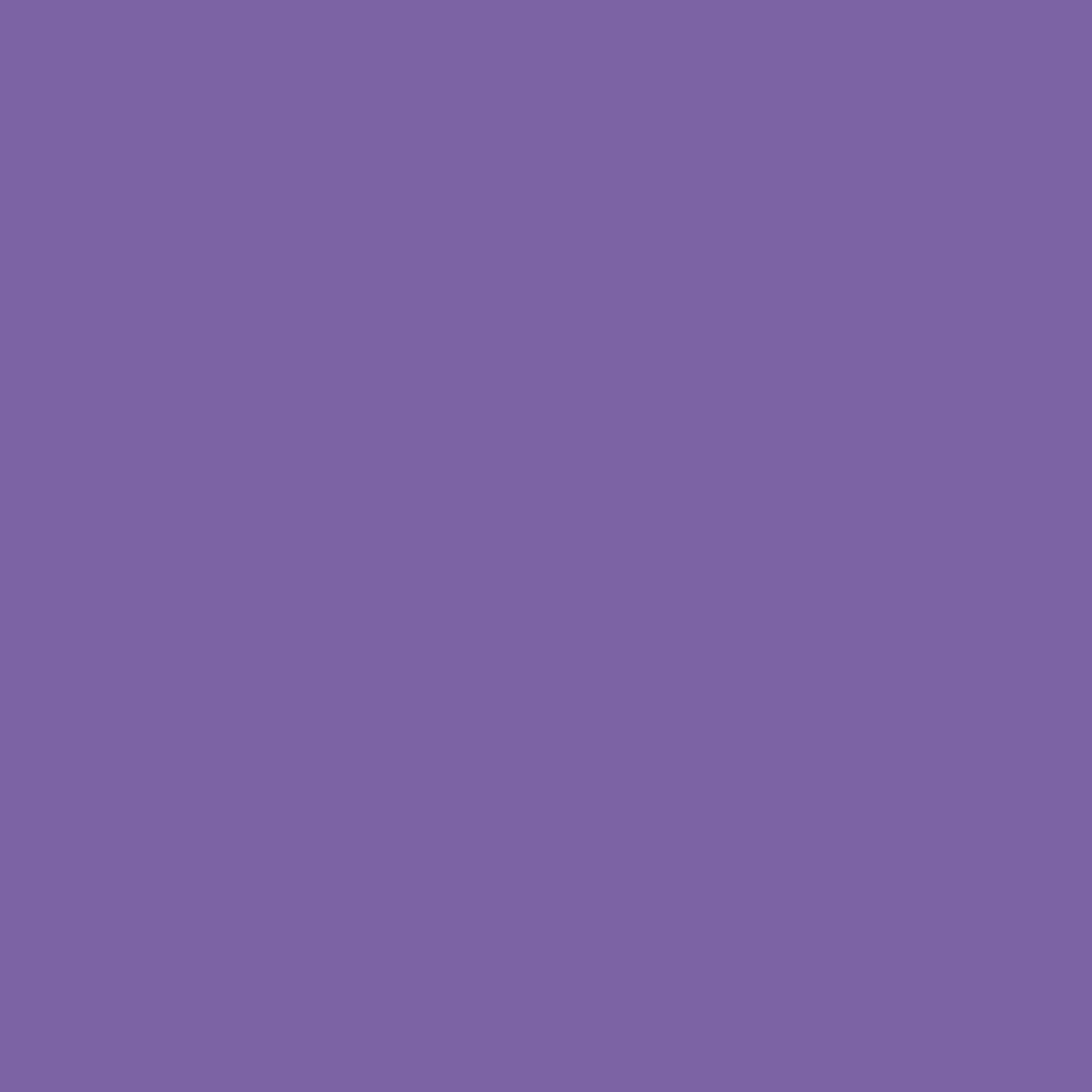 Siser EasyPSV Permanente Zelfklevende Sticker Vinyl - 12" x 5 Yards 
