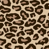 Siser EASYPATTERNS Plus Heat Transfer Vinyl 12" - By the Yard - HeatPressNation