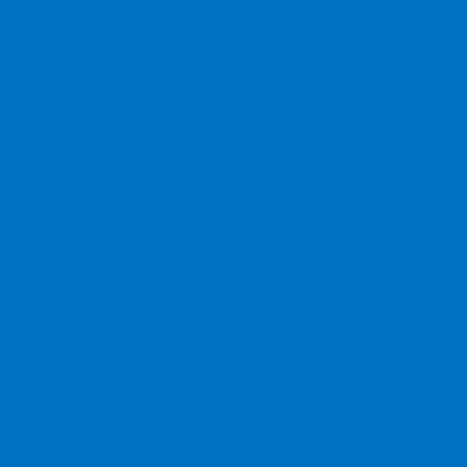 Siser EASYWEED Heat Transfer Vinyl - 20" x 5 Yard