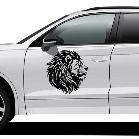 Detailed Lion Mane Vector - HeatPressNation